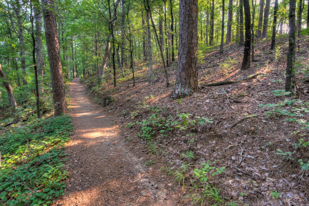 Hiking HS Mountain-2