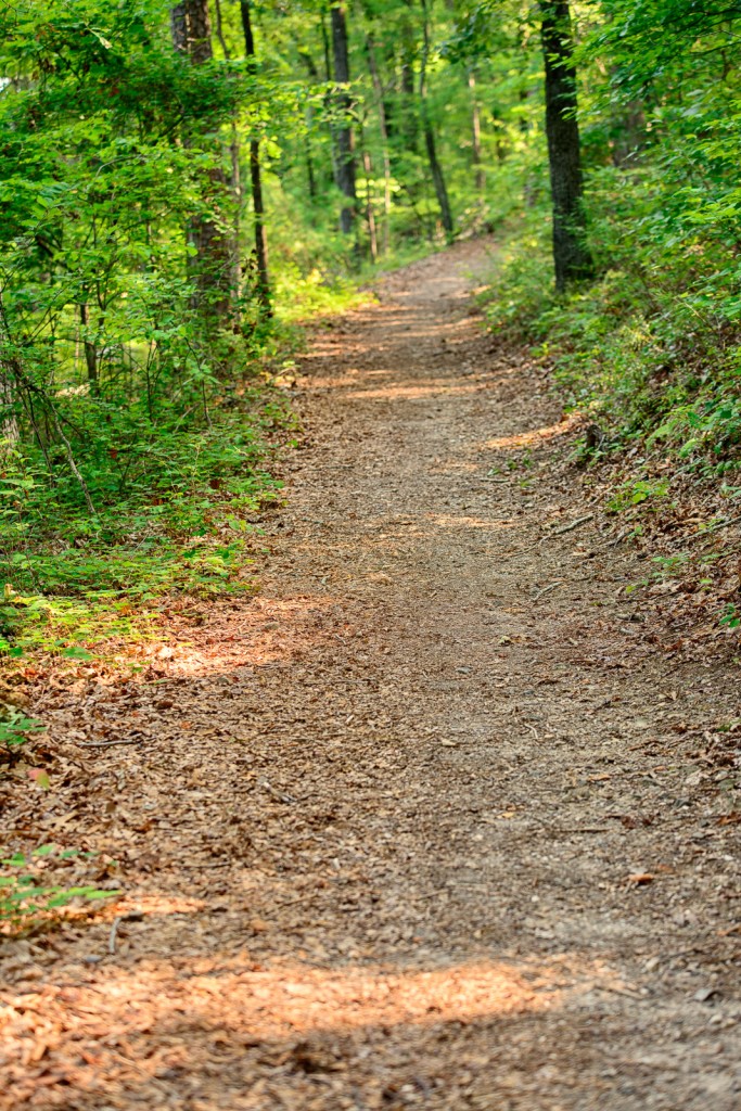 Hiking HS Mountain-26