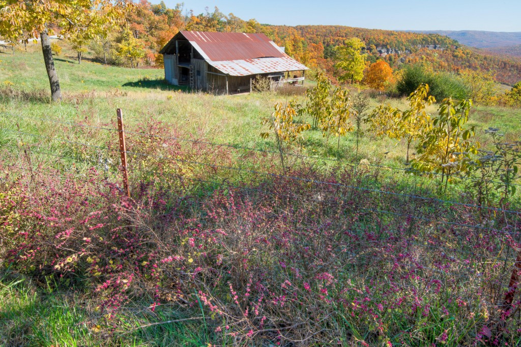 Ponca trip in the Fall-18