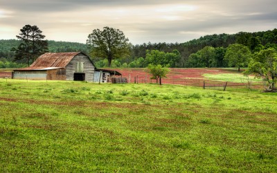 Clover Field and Barn