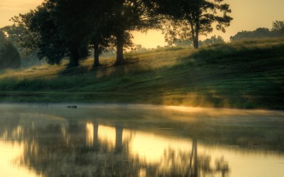 Golden Pond Sunrise-26