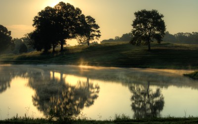 Golden Pond Sunrise-29