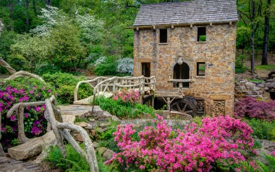 Old Mill 3