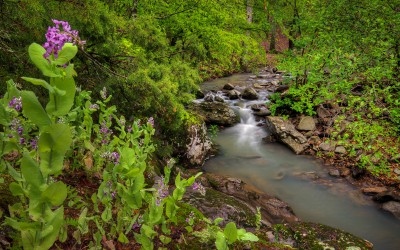 Ross Foundation Cascades-26