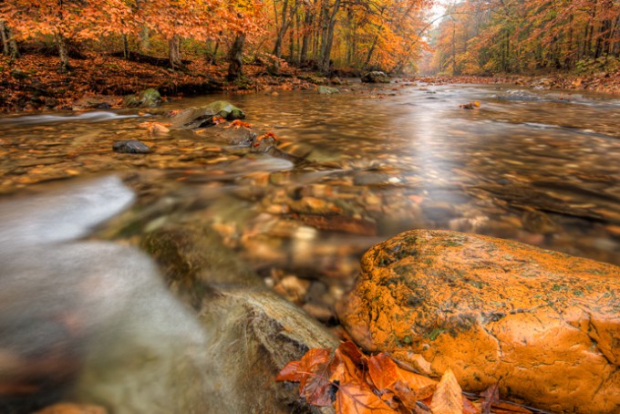 Winding Stairs Trail in the Fall