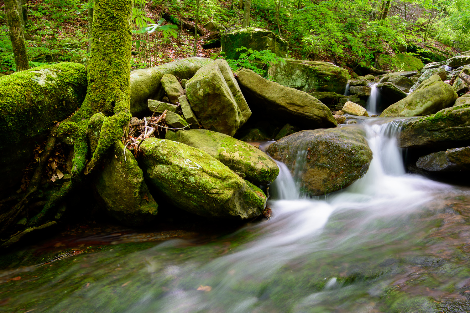 Pack Rat Falls and Haw Creek Falls