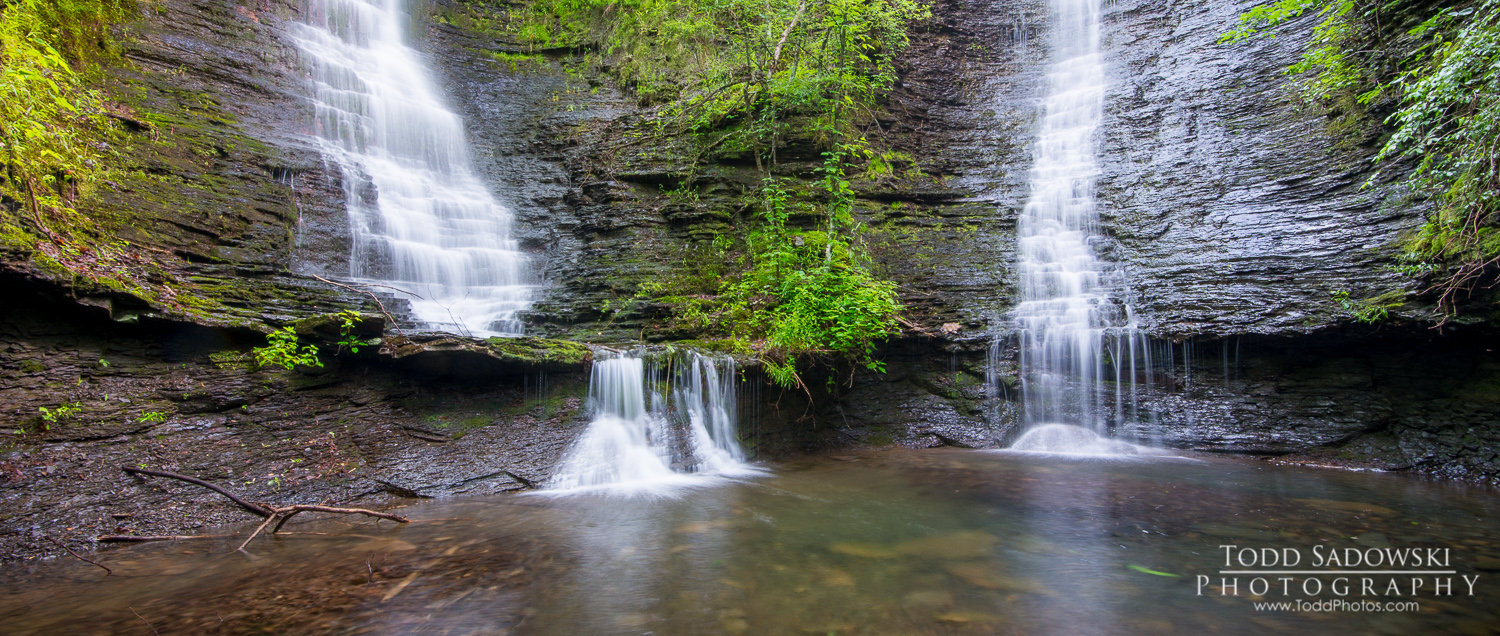 Wildman Twin Falls