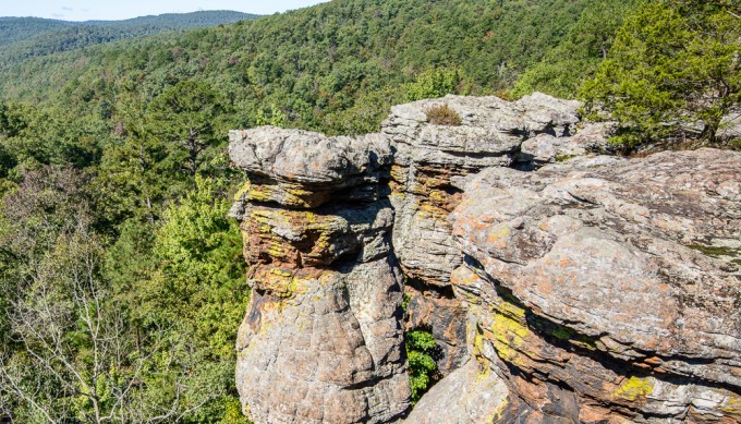 Kings Bluff Trail and Waterfall